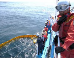 「光り輝く島」スリランカの海洋環境保全に貢献！