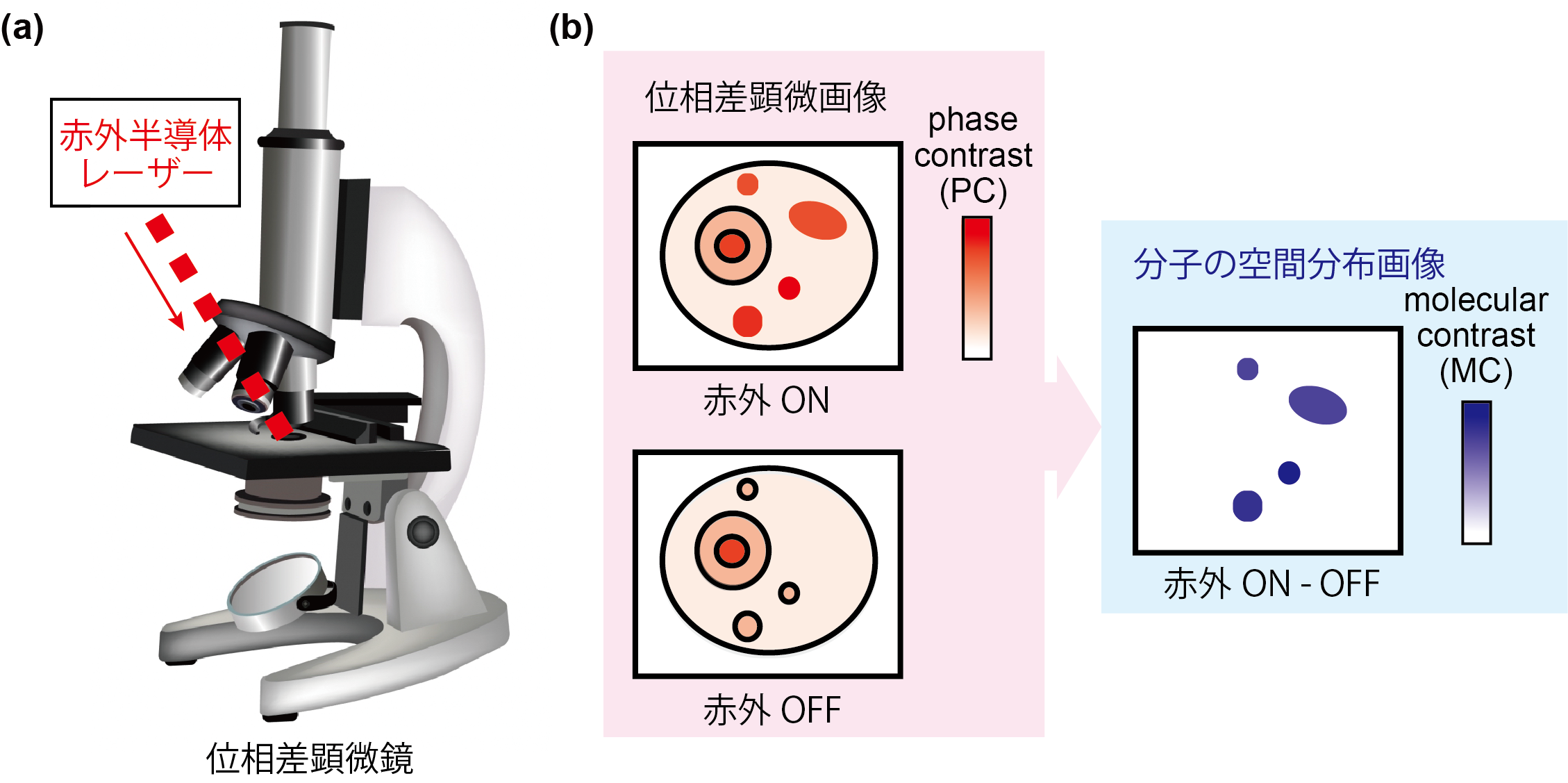 血中から目印が付いたdnaを回収する装置 テック アイ技術情報研究所