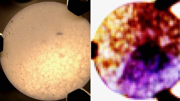テラヘルツ・ギャップを埋める：新センサー開発を促進する微小レーザー