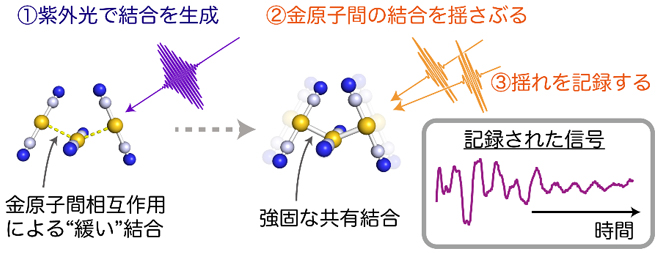 直線形分子構造 Linear molecular geometry JapaneseClass.jp
