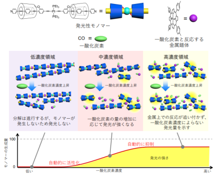 自律型機能性ポリマー：生体を模倣した二段階調節機能を持った有毒ガス応答材料