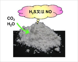 硫化水素や一酸化窒素をジワジワと放出する固体材料を開発