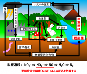 生命現象の本質を探る量子構造生物学の挑戦 テック アイ技術情報研究所