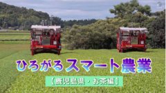 スマート茶業の実証動画の公開を開始