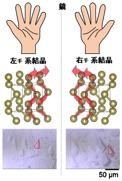 キラル結晶の右手系 左手系で反転する放射状スピン構造を発見 テック アイ技術情報研究所