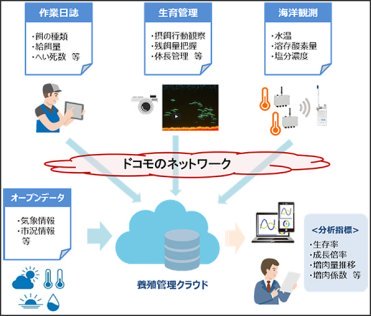 ドコモと鯖やグループが業務提携契約を締結～ICTを活用した新たなサバ養殖モデル…