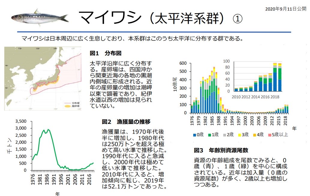 マイワシ、マアジの令和2年8月末に行った資源評価結果を公表