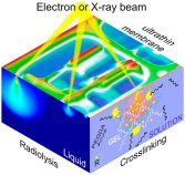 NIST がソフトな 3D プリンティング技術を開発