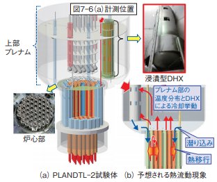 自然対流により炉心の崩壊熱を確実に除去