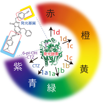 元素周期表 英文全名