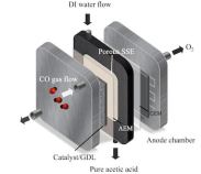 一酸化炭素を高価値の化学物質に還元 (Carbon monoxide reduced to valuable chemical)