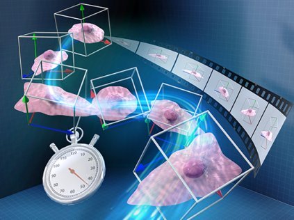形を変えながら動く3次元物体の解析手法の提唱～動くから形が変わるのか、形を変えることで動くのか～