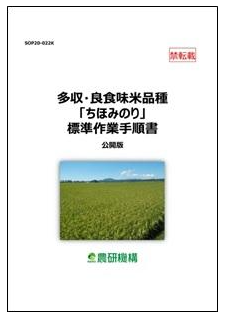 多収・良食味米品種「ちほみのり」標準作業手順書を公開