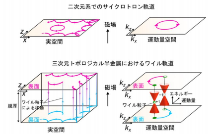離れていてもつながった電子の軌道運動の実証 ~ワイル粒子による特異な非局所量子性を観測~ 離れていてもつながった電子の軌道運動の実証 ~ワイル粒子による特異な非局所量子性を観測~