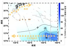 海の砂漠の謎に迫る！～ほんのわずかなリンの供給が活発な生物生産を駆動～