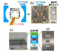 シリコン基板を用いた窒化物超伝導量子ビットの開発に成功