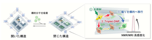 硬くて柔らかいナノ多孔性材料が実現する室温核偏極