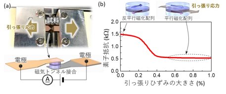 普及型の５００倍 スピンで超高感度なひずみセンシングを実現