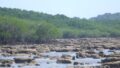 サンゴを使ってシンガポールの海水準変化の歴史を探る(Using corals to gauge Singapore’s sea-level history)