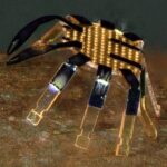 世界最小の遠隔操作型歩行ロボット「タイワンクラブ」を開発(Tiny robotic crab is smallest-ever remote-controlled walking robot)
