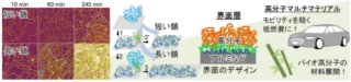 高分子鎖の新しい吸着機構を発見 ～接着剤で自動車を組み立て、カーボンニュートラルの実現へ～