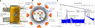LLNLの研究者が、核融合反応におけるイオンの振る舞いが異なることを観測(LLNL researchers observe that ions behave differently in fusion reactions)