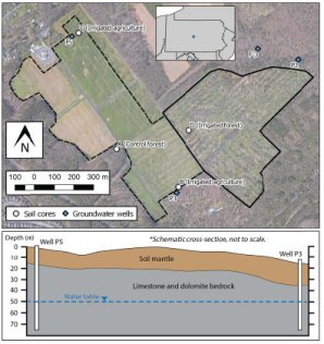 地下水中の「永遠の化学物質」の移動に光を当てる研究(Study sheds light on how &lsquo;forever chemicals&rsquo; travel in groundwater)