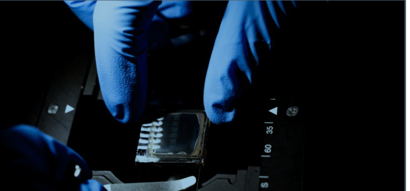 バックコンタクトペロブスカイト太陽電池の欠陥マップを作成(Mapping the defects in back-contact perovskite solar cells)