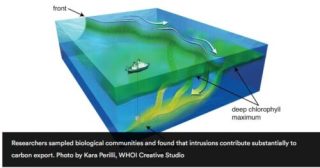 微小生物にとって海流は深海への「高速道路」であることが研究で判明(For microscopic organisms, ocean currents act as ‘expressway’ to deeper depths, study finds)