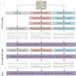損傷したインフラを宇宙から診断(Diagnosing Damaged Infrastructure From Space)