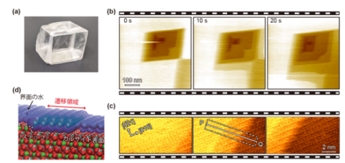 固液界面の３次元構造変化を観察できる 高速３次元走査型力顕微鏡を開発 ～鉱物の溶解過程に寄与する水の振る舞いを可視化～