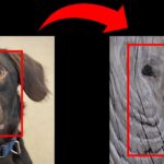 AIパレイドリア： 機械は無生物から顔を発見できるか？(AI pareidolia: Can machines spot faces in inanimate objects?)