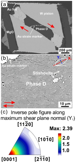 高圧含水鉱物の変形によって起こる地球マントル深部の地震波異方性～高温高圧下のD相の変形誘起結晶選択配向～