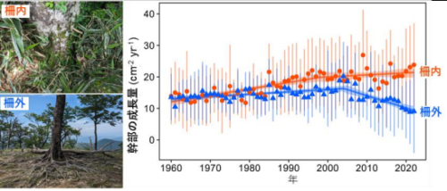 防鹿柵の設置はブナの成長低下と土壌微生物の多様性低下を防ぐ ～シカの過採食による森林衰退を止める有効な手立てとして期待～