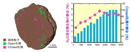 温室効果ガスを消去する微生物が優占する土壌物理条件を解明～土壌団粒の孔隙ネットワークがN2O消去菌の群集活性を制御する～