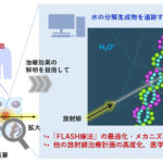 放射線による水分子の化学変化から最新がん治療に迫る！ ～放射線で分解する水分子の挙動を視覚的に追跡する計算プログラムの開発に成功～