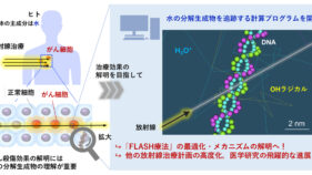 放射線による水分子の化学変化から最新がん治療に迫る！ ～放射線で分解する水分子の挙動を視覚的に追跡する計算プログラムの開発に成功～