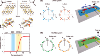 キラリティと超伝導の協奏が生む巨大な超伝導整流～らせん構造が作るスピン三重項クーパー対～