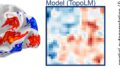 脳の構造と機能を模倣する新しいAI言語モデルを開発（A new AI language model that mimics the organization of the brain）