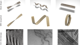 自発的な湾曲が形状変化するナノ材料の鍵となる(Spontaneous curvature the key to shape-shifting nanomaterials)