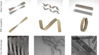 自発的な湾曲が形状変化するナノ材料の鍵となる(Spontaneous curvature the key to shape-shifting nanomaterials)