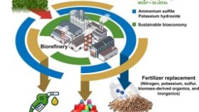 トウモロコシ廃棄物から低コストなバイオ燃料用糖を生成（Scientists discover a new way to convert corn waste into low-cost sugar for biofuel）