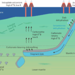 表層炭酸塩が重いホウ素同位体をマントル深部に輸送（Scientists Discover Surface Carbonates can Transport Heavy Boron Isotopes into Deep Mantle）