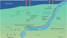 表層炭酸塩が重いホウ素同位体をマントル深部に輸送（Scientists Discover Surface Carbonates can Transport Heavy Boron Isotopes into Deep Mantle）