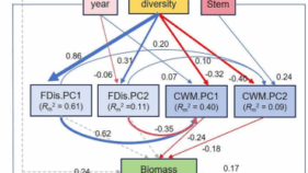 森林遷移において機能的優占性を通じて予測される地上部バイオマス(Researchers Discover Taxonomic Diversity Predicts Aboveground Biomass through Functional Dominance across Subtropical Forest Succession) 森林遷移において機能的優占性を通じて予測される地上部バイオマス(Researchers Discover Taxonomic Diversity Predicts Aboveground Biomass through Functional Dominance across Subtropical Forest Succession)