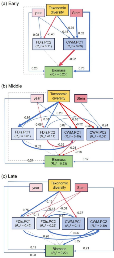 森林遷移において機能的優占性を通じて予測される地上部バイオマス（Researchers Discover Taxonomic Diversity Predicts Aboveground Biomass through Functional Dominance across Subtropical Forest Succession）