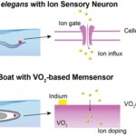 過酷環境対応のエネルギー効率メモリセンサーを開発（Researchers develop energy-efficient memory sensor for wet, salty environments）