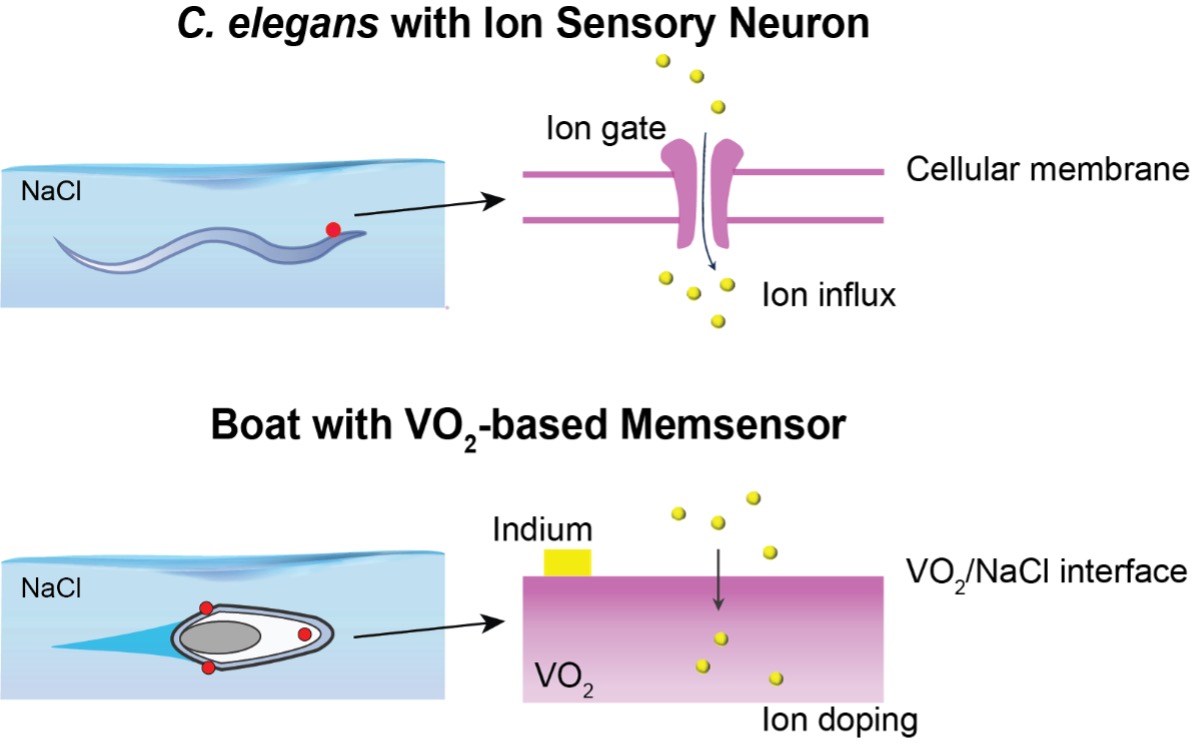 過酷環境対応のエネルギー効率メモリセンサーを開発（Researchers develop energy-efficient memory sensor for wet, salty environments）