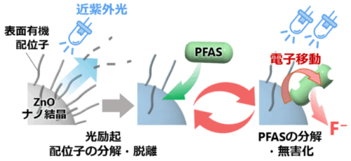 “永遠の化学物質”PFASを低毒性半導体ナノ材料で分解 ～LED光で持続可能な環境浄化技術の実用化へ一歩～