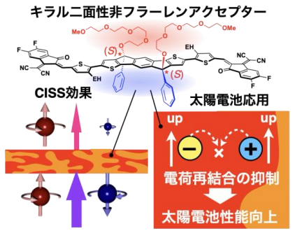 左右の手のように異なる“キラル”分子構造が、太陽電池の性能を高める鍵に～CISS効果によるスピン選択的電荷輸送を活用した新たな戦略を提案～